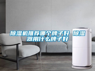 行業新聞除濕機推薦哪個牌子好 除濕器用什么牌子好