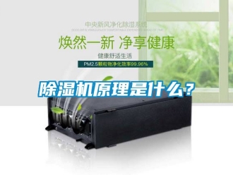 行業新聞除濕機原理是什么？