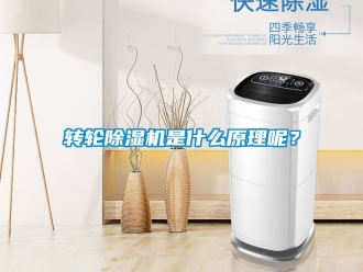 常見問題轉輪除濕機是什么原理呢？