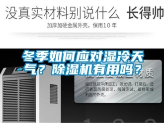 常見問題冬季如何應對濕冷天氣？除濕機有用嗎？