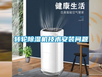 常見問題轉(zhuǎn)輪除濕機(jī)技術(shù)安裝問題