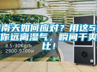 常見問題回南天如何應對？用這5招幫你遠離濕氣，瞬間干爽無比！