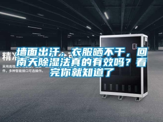 常見問題墻面出汗，衣服曬不干，回南天除濕法真的有效嗎？看完你就知道了