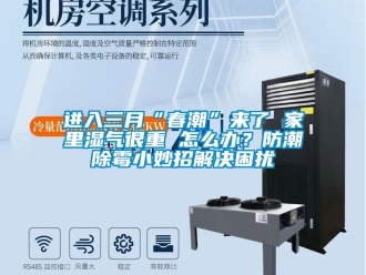 常見(jiàn)問(wèn)題進(jìn)入三月“春潮”來(lái)了 家里濕氣很重 怎么辦？防潮除霉小妙招解決困擾