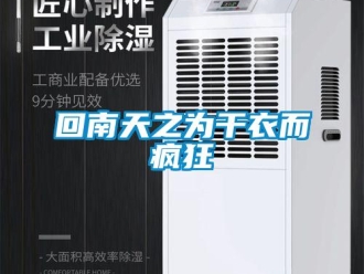 行業(yè)新聞回南天之為干衣而瘋狂