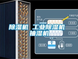 常見問題除濕機 工業(yè)除濕機 抽濕機