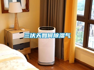 常見問題三伏天如何除濕氣