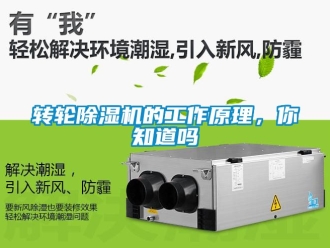 常見問題轉(zhuǎn)輪除濕機(jī)的工作原理，你知道嗎