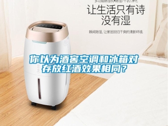 行業(yè)新聞你以為酒窖空調(diào)和冰箱對(duì)存放紅酒效果相同？