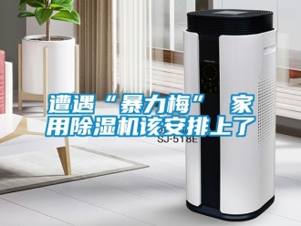 常見問題遭遇“暴力梅” 家用除濕機該安排上了