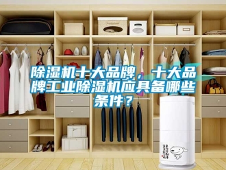 常見問題除濕機十大品牌，十大品牌工業(yè)除濕機應(yīng)具備哪些條件？