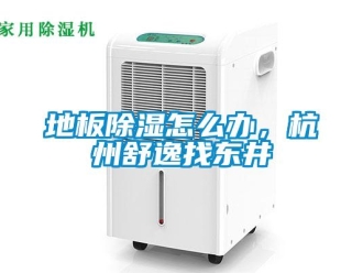 常見問題地板除濕怎么辦，杭州舒逸找東井