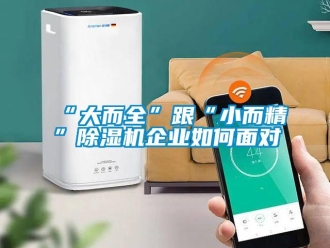 常見問題“大而全”跟“小而精”除濕機(jī)企業(yè)如何面對