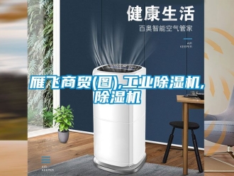 常見問題雁飛商貿(圖),工業除濕機,除濕機