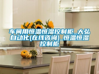 知識百科車間用恒溫恒濕控制柜_大弘自動化(在線咨詢)_恒溫恒濕控制柜