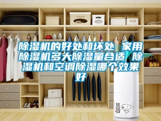 常見問題除濕機的好處和壞處 家用除濕機多大除濕量合適 除濕機和空調除濕哪個效果好