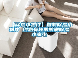 常見(jiàn)問(wèn)題【除濕小物件】自制除濕小物件 創(chuàng)意有趣的防潮除濕小家電