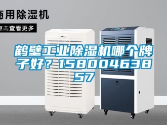 常見問題鶴壁工業除濕機哪個牌子好？15800463857