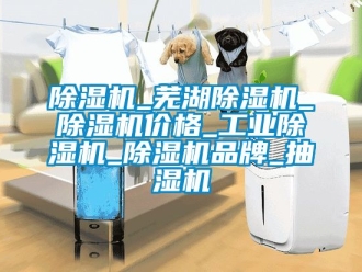 常見問題除濕機_蕪湖除濕機_除濕機價格_工業除濕機_除濕機品牌_抽濕機