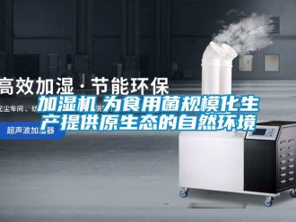 行業(yè)新聞加濕機(jī)　為食用菌規(guī)模化生產(chǎn)提供原生態(tài)的自然環(huán)境