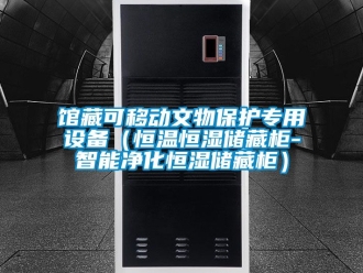 知識百科館藏可移動文物保護(hù)專用設(shè)備（恒溫恒濕儲藏柜-智能凈化恒濕儲藏柜）