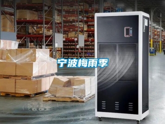 行業(yè)新聞寧波梅雨季