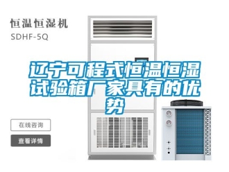 知識百科遼寧可程式恒溫恒濕試驗箱廠家具有的優勢