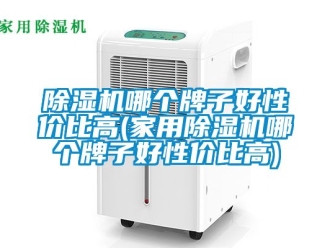 常見問題除濕機哪個牌子好性價比高(家用除濕機哪個牌子好性價比高)
