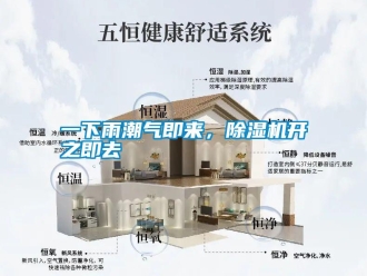 知識百科一下雨潮氣即來，除濕機開之即去