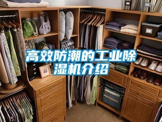 常見問題高效防潮的工業除濕機介紹