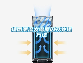 行業新聞墻面潮濕發霉原因及處理方法