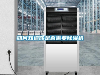 常見問題如何知道你是否需要除濕機(jī)