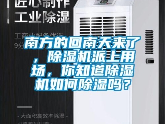 常見問題南方的回南天來了，除濕機派上用場，你知道除濕機如何除濕嗎？