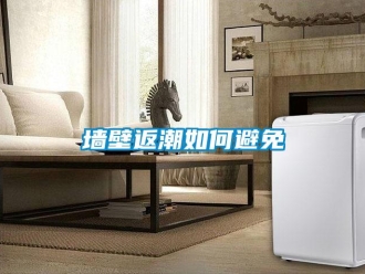 常見問題墻壁返潮如何避免