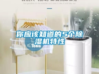 行業新聞你應該知道的5個除濕機特性