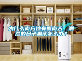 常見問題為什么南方獨有回南天，潮濕的日子里該怎么辦？