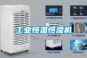 工業(yè)恒溫恒濕機