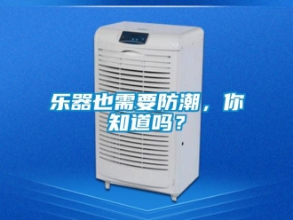 常見問題樂器也需要防潮，你知道嗎？