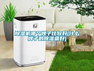 行業新聞除濕機哪個牌子比較好(什么牌子的除濕盒好)